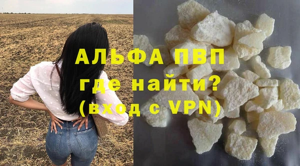 ECSTASY Гусь-Хрустальный