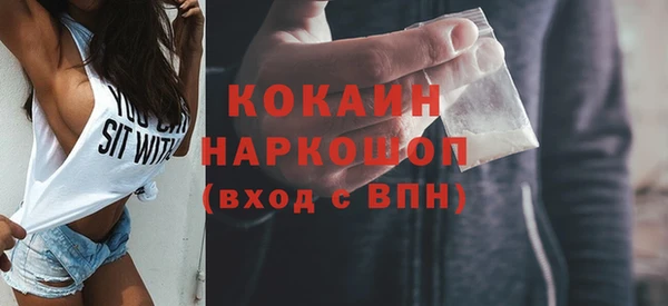 ECSTASY Гусь-Хрустальный