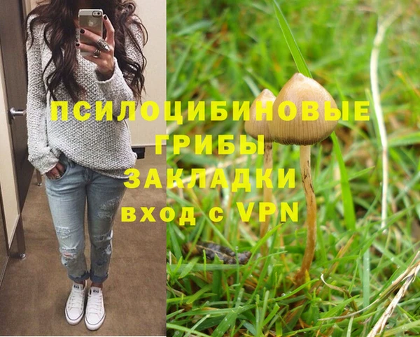 марихуана Гусиноозёрск