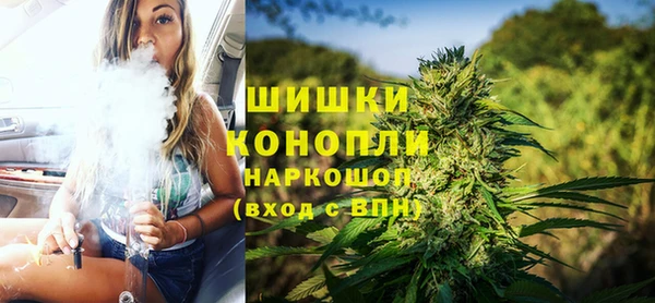 ECSTASY Гусь-Хрустальный