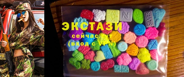 ECSTASY Гусь-Хрустальный