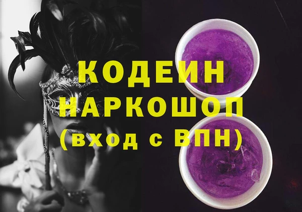 ECSTASY Гусь-Хрустальный