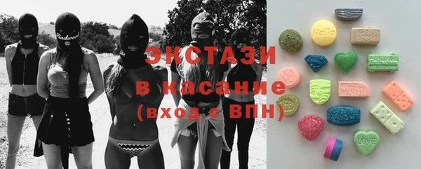 ECSTASY Гусь-Хрустальный