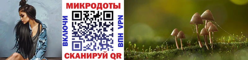 Галлюциногенные грибы Psilocybine cubensis Уварово